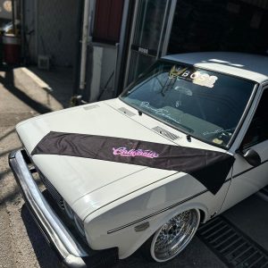 California torpido havlusu