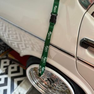 Carlsberg ayna ipi